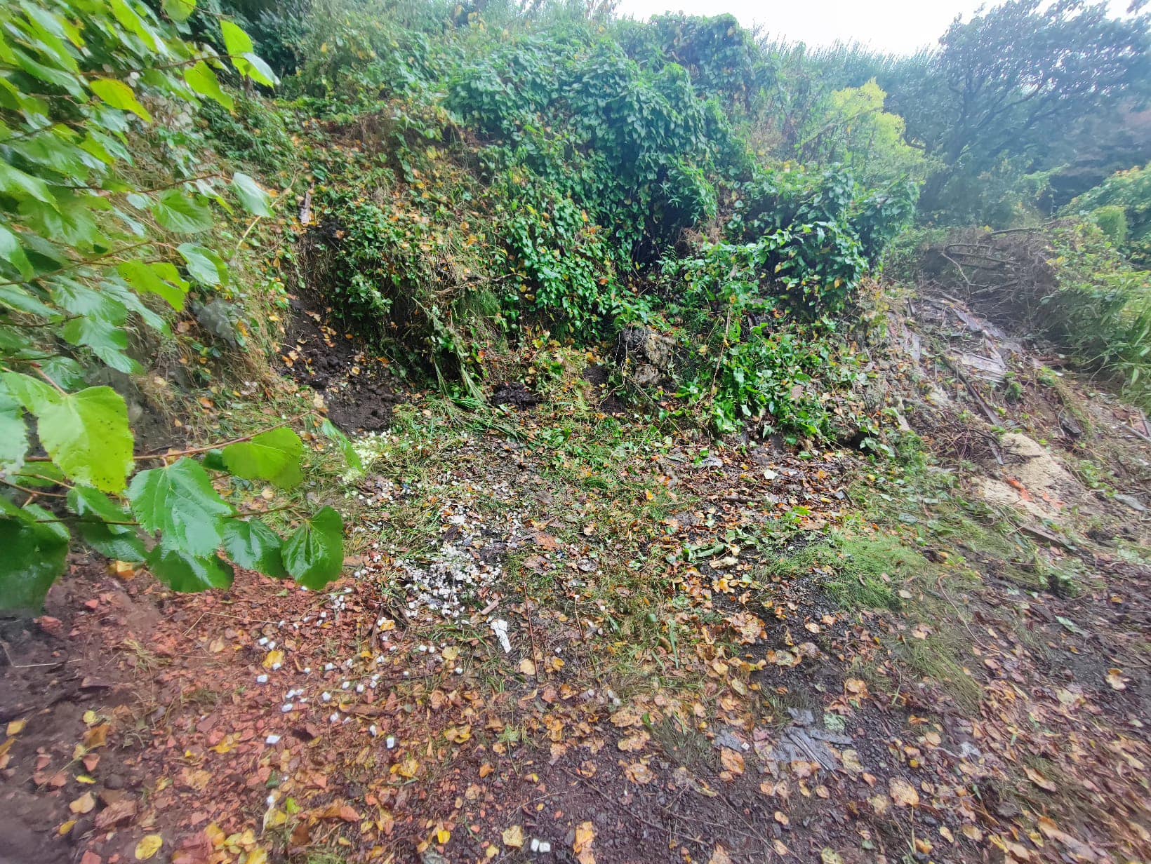 Waste Clearance in Blackburn