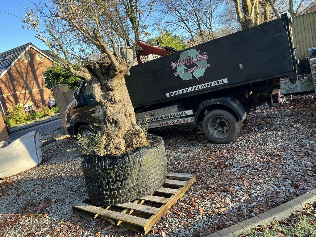 Tree removal Blackburn