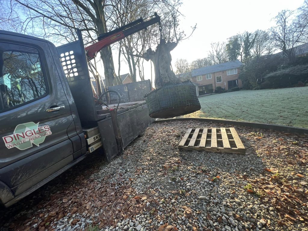 Tree removals Blackburn