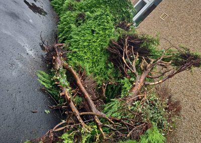 Green Waste Blackburn