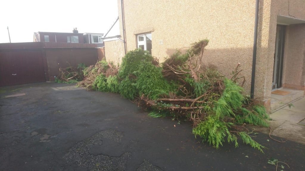 Green Waste Removal Blackburn