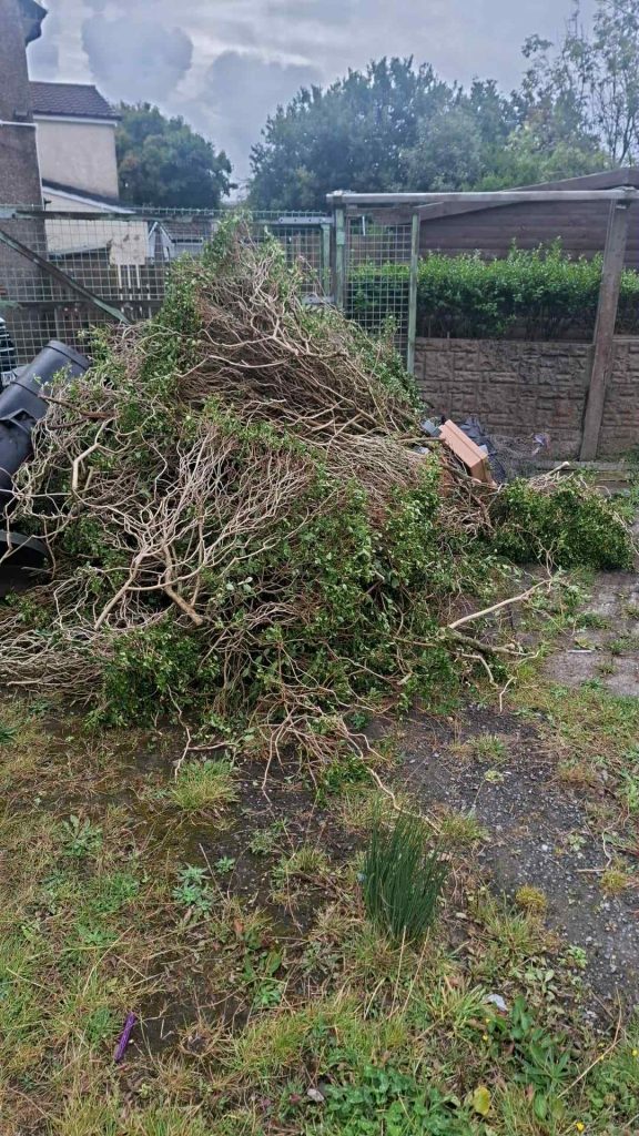 Green Waste Skip Blackburn