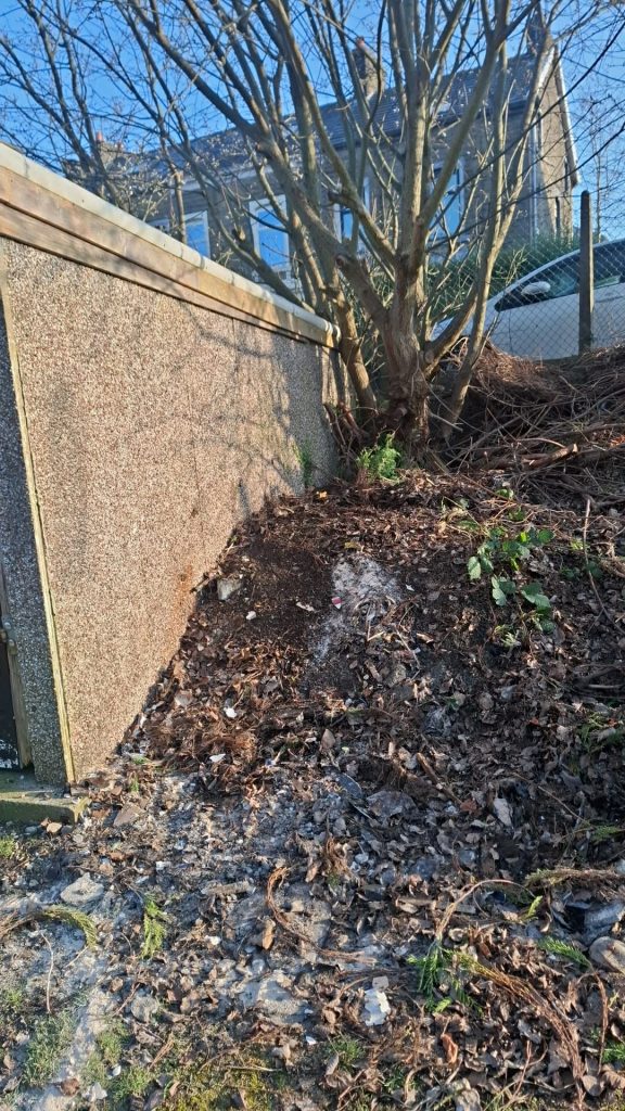 Waste Clearance Ewood